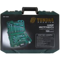Tundra 881828 (100 предметов) Image #3