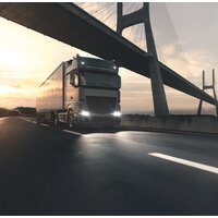 Osram H21W Metal Base 1шт Image #4