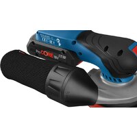 Bosch GEX 18V-125 Professional 0601372201 (без АКБ) Image #5