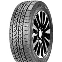 DoubleStar DW02 195/65R15 91T