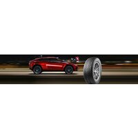 Antares Majoris R1 295/45R20 114W Image #5