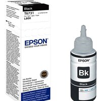 Epson C13T673198