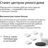 Яндекс Станция Мини 2 с часами (красный гранат) Image #8