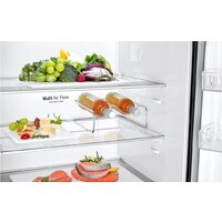 LG DoorCooling+ GC-B569PBCM Image #10