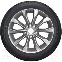 Royal Black Royal Winter 205/50R17 93V XL Image #3