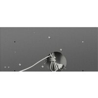 MAUNFELD Crosby Rocky 60 (черный) Image #9