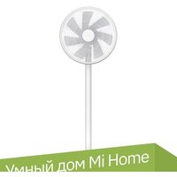 SmartMi Standing Fan 2S ZLBPLDS03ZM (международная версия)