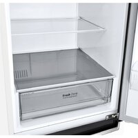 LG DoorCooling+ GA-B509MQSL Image #8