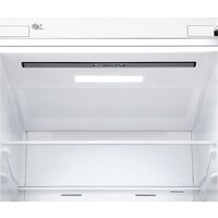 LG DoorCooling+ GA-B509MQSL Image #7