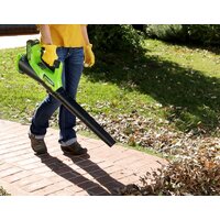 Greenworks G40AB (без АКБ) Image #3