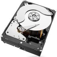 Seagate Skyhawk Surveillance 8TB ST8000VX004 Image #3