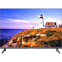 Витязь 24LH0204