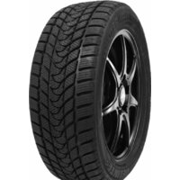 Delinte Winter WD1 275/40R19 101H