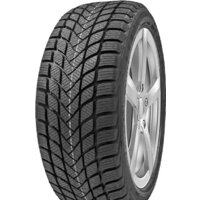 Delinte Winter WD6 155/65R13 73T