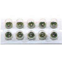 Narva R5W 1шт [17181] Image #3