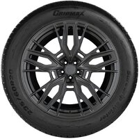 Gripmax SureGrip eWinter 215/60R18 102H Image #2