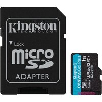 Kingston Canvas Go! microSDXC 1TB SDCG4/1TB (с адаптером)