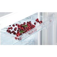 Snaige RF58SM-S5MP2E Image #6