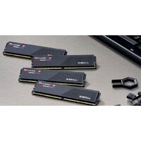 G.Skill Ripjaws S5 2x32ГБ DDR5 5200 МГц F5-5200J4040A32GX2-RS5K Image #5