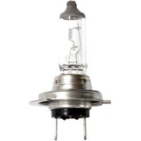 Belsvet H7 24-70-3/H7 24V 70W 1шт