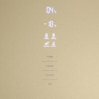 MAUNFELD MFF185NFBG Inverter Image #7