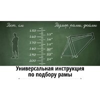 Nasaland 6002M 26 2021 (синий) Image #5