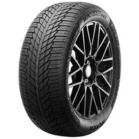 Nexen Winguard Ice 3 225/45R19 96T