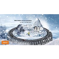 Pace Antarctica Sport 275/40R20 106T (шипы) Image #2