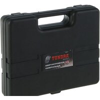 Tundra 1935477 (13 предметов) Image #2