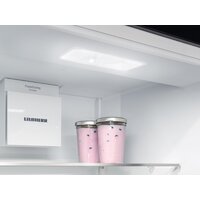 Liebherr ICNd 5603 Pure NoFrost Image #6