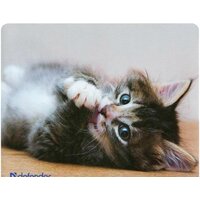 Defender Silk (50706) Image #7