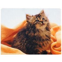 Defender Silk (50706)