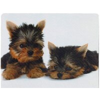 Defender Silk (50706) Image #6