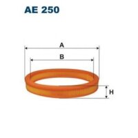 Filtron AE250