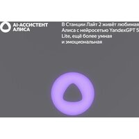 Яндекс Станция Лайт 2 (серый) Image #7