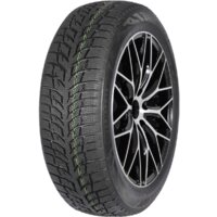 Autogreen Snow Chaser 2 AW08 225/50R17 94H