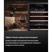 MAUNFELD MFWC-124D49 Image #11