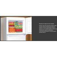 TECHNO DF2-20 Image #9