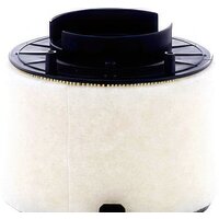 MANN-filter C17009