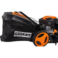 Gigant PLM-04 Image #20