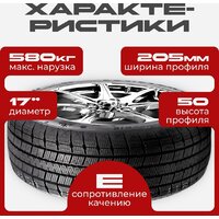 Joyroad Winter RX821 205/50R17 89T Image #3