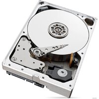 Seagate SkyHawk AI 10TB ST10000VE000 Image #4