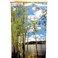 ТеплоМакс Домашний очаг (березки)