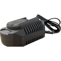 Edon OAF21-2400CB 1001010621 (21В)