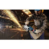 Bosch GWS 26-230 LVI Professional (0601895F04) Image #3