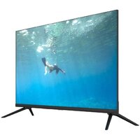 Vivaris 32 One ST Image #4