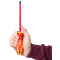 Total THTIS566 Image #10