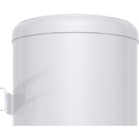 Thermex IF 100 V (pro) Image #4