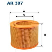 Filtron AR307
