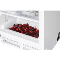 Nord (Nordfrost) NFB 150 W Image #9